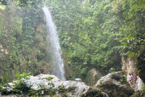 Cebu: Walvishaai, Inambakan Watervallen &amp; Moalboal SardientochtGedeelde groepsreis optie