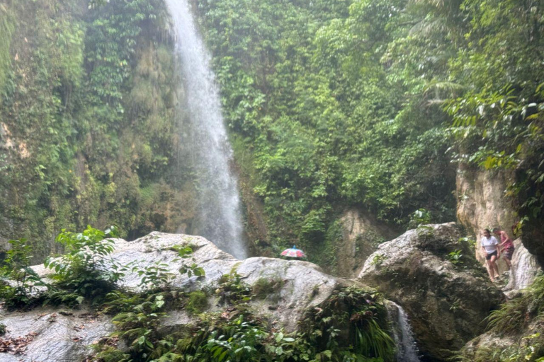 Cebu: Whale Shark, Inambakan Falls & Moalboal Sardine Tour Shared Group Tour Option