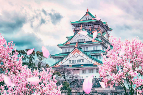 Osaka/Kobe: Tour guiado particular pela região de Kansai - Serviço de busca no hotelOsaka e Kobe: City Tour com serviço de busca no hotel