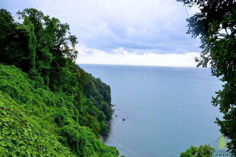 From Batumi: Georgian Amazon & Kolkheti Park Tour