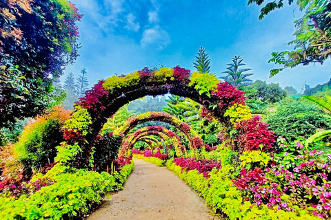 Cebu: Highland Dreamscape & TOPS Sunset Experience