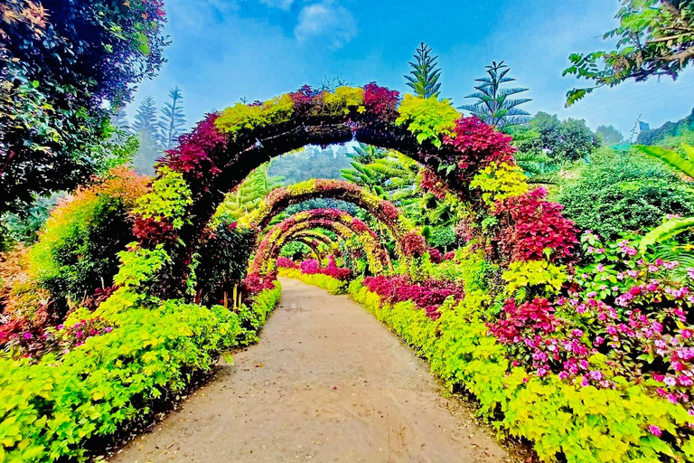 Cebu: Highland Dreamscape & TOPS Sunset Experience