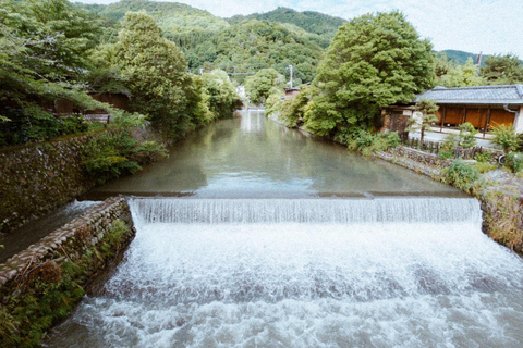 Kyoto Bus Tour: Fushimi, Kiyomizu, Kinkaku-ji & Arashiyama