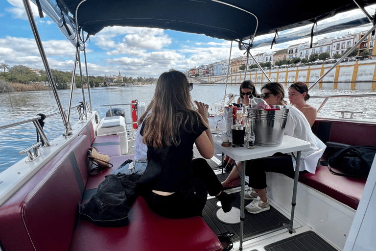 Paseo en barco privado por el GuadalquivirPaseo en barco privado 1h (1 a 12 pax)