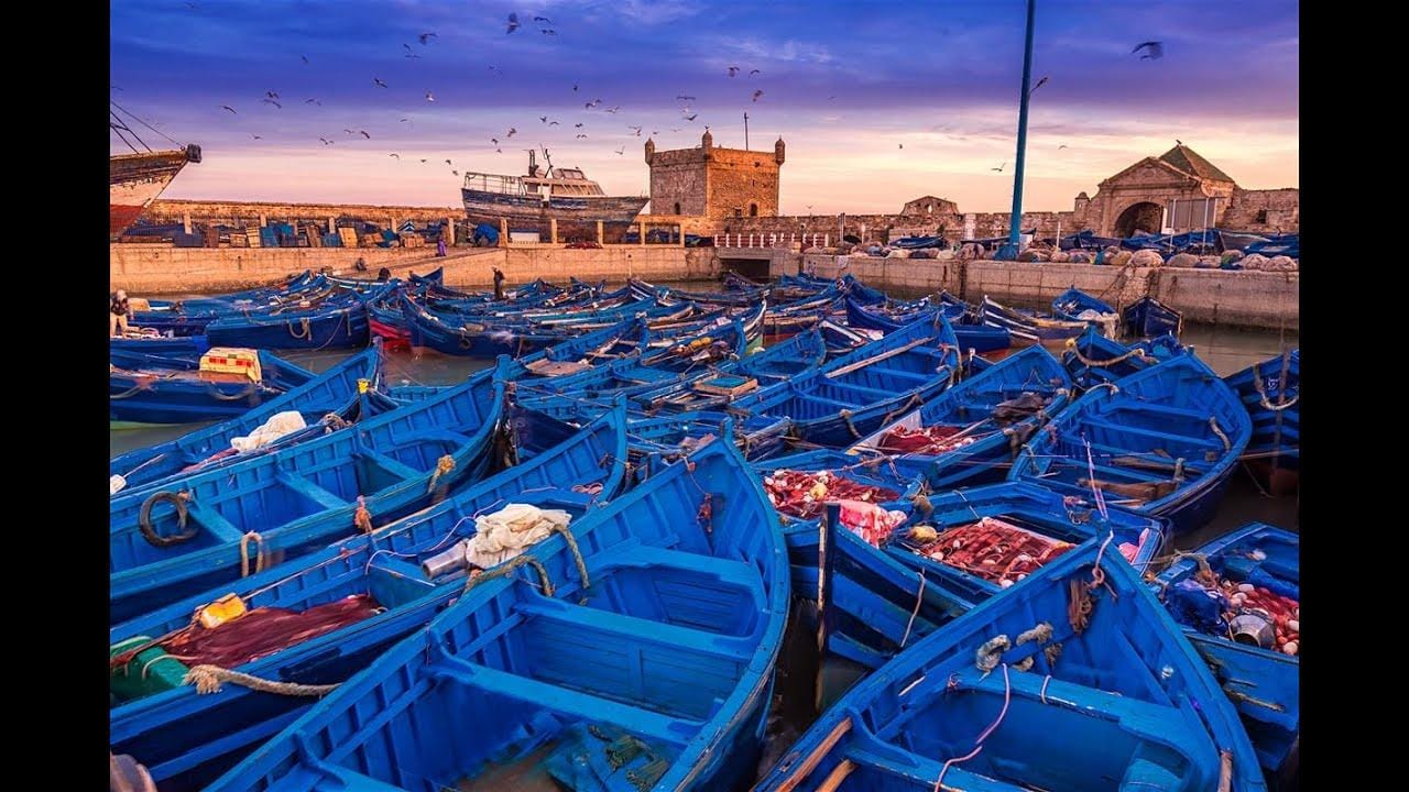 Ab Marrakesch: ✅Ganztägiger Ausflug in die Atlantikstadt Essaouira