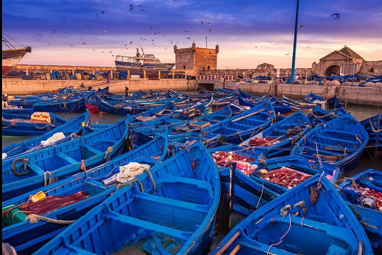 Essaouira Day Trip from Marrakech: Medina & Atlantic Coast Private Essaouira Day Trip