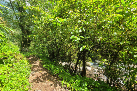 Bali Hidden Trekking, Wasserrutsche, Sekumpul, &amp; Fiji WasserfallAbholung vom Hotel und Rücktransfer zum Hotel inbegriffen