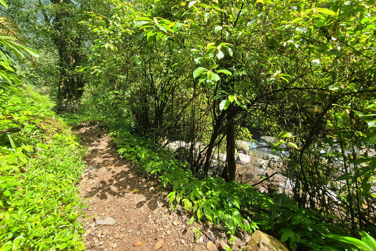 Bali Hidden Trekking, Wasserrutsche, Sekumpul, &amp; Fiji WasserfallAbholung vom Hotel und Rücktransfer zum Hotel inbegriffen