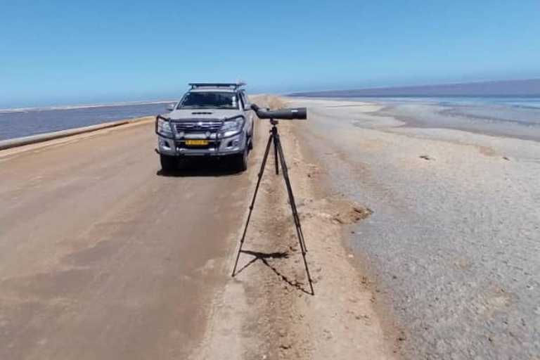 Walvis Bay: Obserwacja ptaków i wycieczka fotograficzna