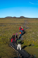 Reykjavik, Thrihnukagigur Vulkan geführte Tagestour - Hizvo