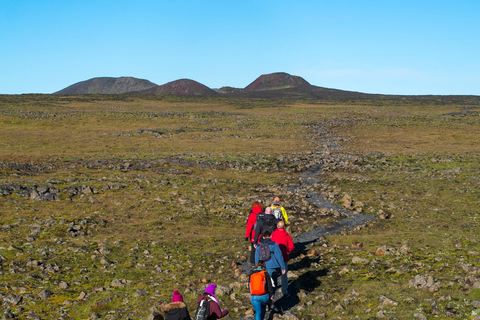 Depuis Reykjavik : au cœur du volcan Thrihnukagigur