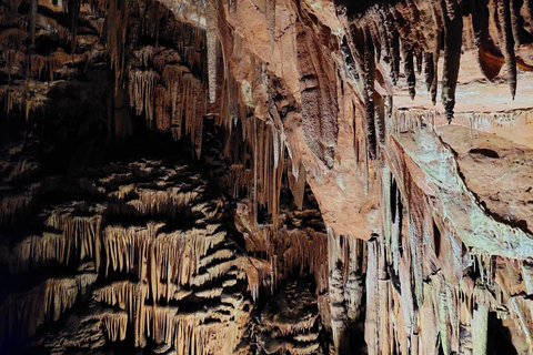 Sofia: Saeva Dupka and Prohodna Cave Half-Day Tour
