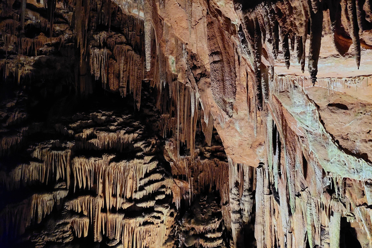Sofia: Saeva Dupka and Prohodna Cave Half-Day Tour