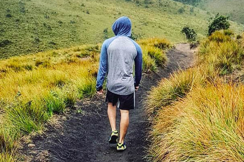 Ella: Horton Plains & Bomburu Ella Waterfall Tour