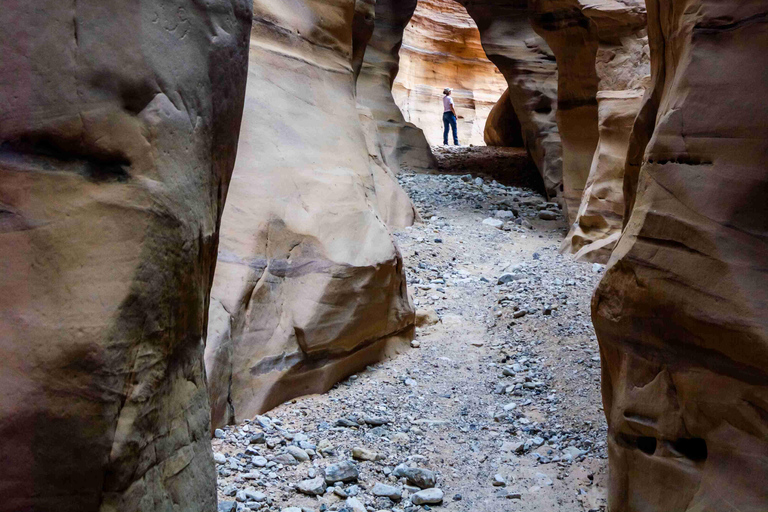 Petra to Wadi Rum Hiking Tour (7 Days) | All-Inclusive