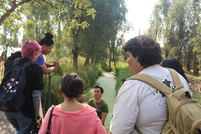 Xochimilco: Chinampa and Axolotl Boat Tour