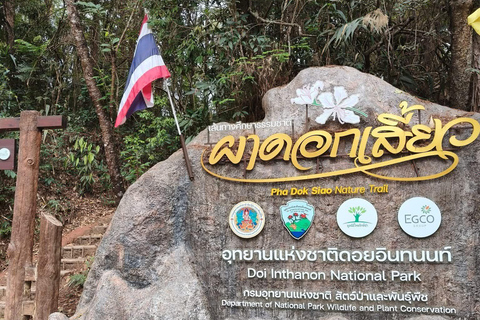Chiang Mai: Doi Inthanon Pha Dok Siew Trek & Karen Culture