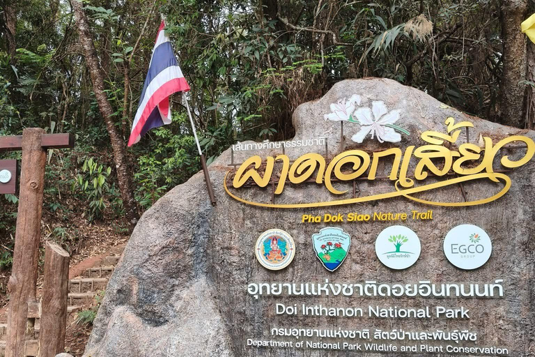 Chiang Mai: Doi Inthanon Pha Dok Siew Trek & Karen Culture
