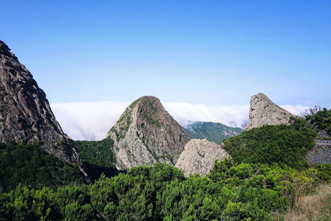 Tenerife - La Gomera: Private Expedition to the Prehistoric Forest