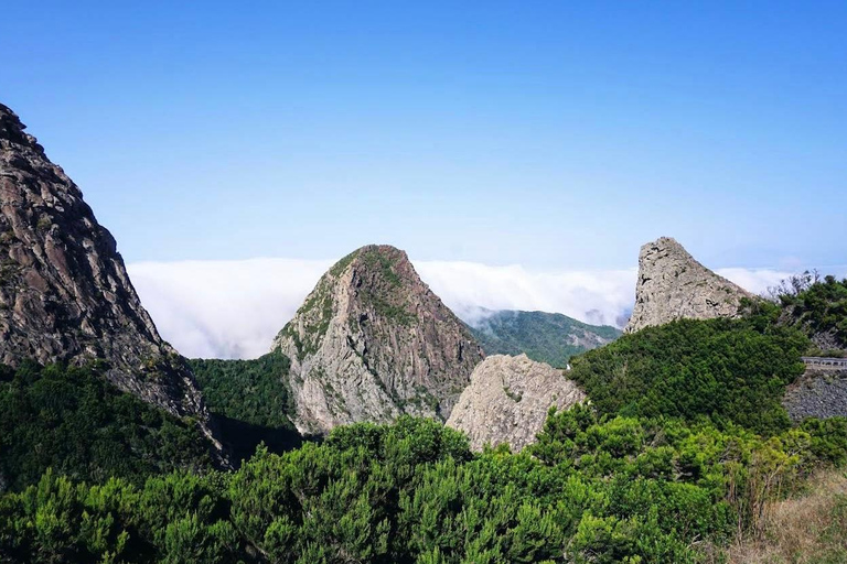 Tenerife - La Gomera: Private Expedition to the Prehistoric Forest