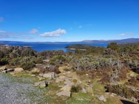 De Hobart, Grand lac, visite d'une journée en petit groupe - Hizvo
