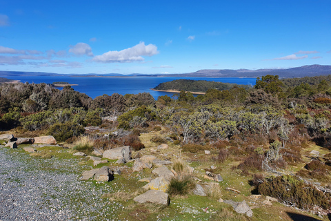 From Hobart: Great Lake, Untamed High Country Small Group The Great Lake and High Country Small Group Tour