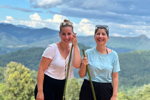 Chiang Mai: 3Days 2Night Trek in Doi Inthanon Area