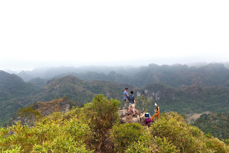 Half Day Hiking to Cat Ba National Park with a Guide