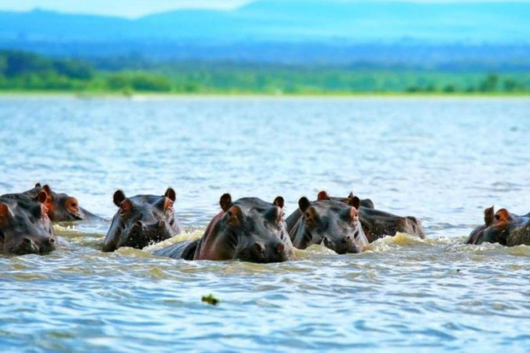 Zanzibar: 3-Day Safari to Tarangire and Ngorongoro