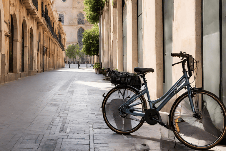 Valência: Aluguel de bicicletas normais e elétricas RuzafaValência: Aluguel de bicicleta normal Ruzafa dia inteiro