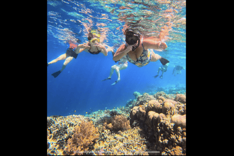 One Day Trip Menjangan Island With Snorkling Experience