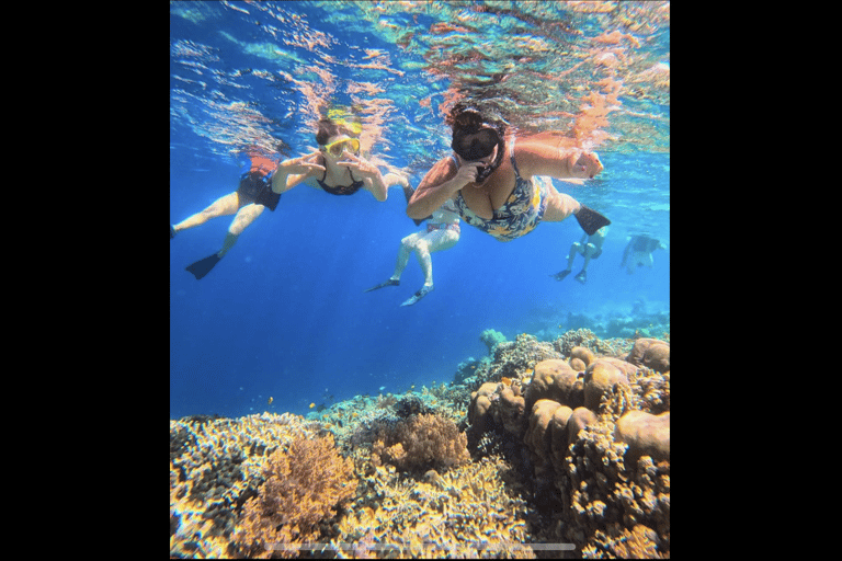 One Day Trip Menjangan Island With Snorkling Experience