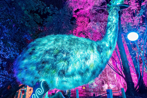 Queenstown: Whimsical Sensory Night Walk at LUMA Enchanted LUMA Enchanted - sensory illuminated walk