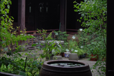 Mini-wycieczka po Hangzhou: tradycyjna medycyna chińska, widoki na wzgórza i targMini-wycieczka po Hangzhou: tradycyjna medycyna chińska, widoki na wzgórza i targowisko