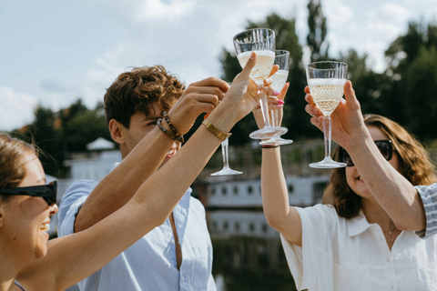 Half Day Vineyards & Wine Tasting from Aix en Provence Prestigious Vineyards Guided Tour with Tastings