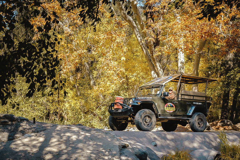 De Sedona: visite de la chaussée en jeep d&#039;Oak Creek Canyon d&#039;une heure et demie