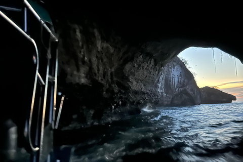Puerto Vallarta: Bioluminescencja w Parku Morskim Los Arcos