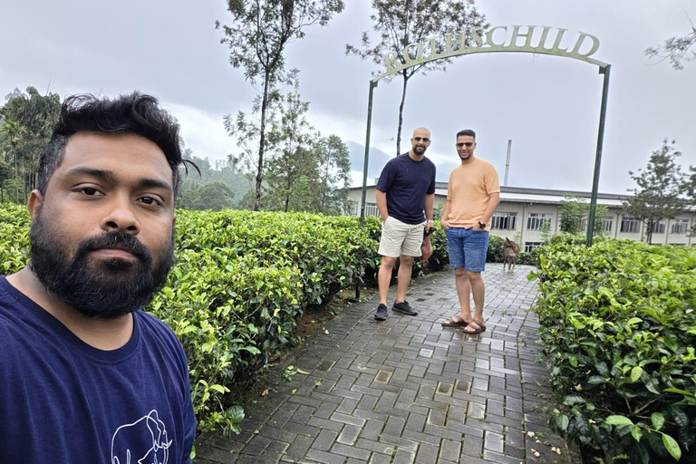 From Kandy: Private Transfer to Ella with 7 Stops