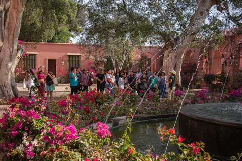 Exclusive: Hacienda Tacama from Lima + Paracas + Ica