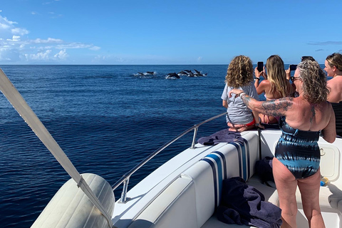 Soufriere/Westküste: Privates Boot, Schwimmen, Schnorcheln und Strand31&#039; Boot - Real Nauti