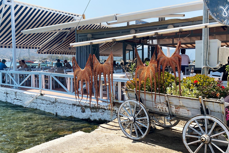 Isola di Poros: escursione di un giorno in autobus da Atene con bagno