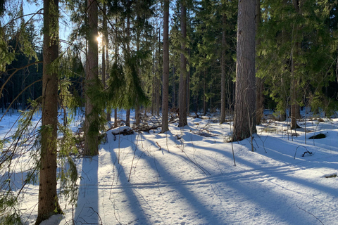 Éveil des cinq sens dans la nature finlandaise (+sauna traditionnel)