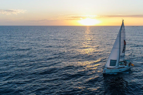 Gita in barca a Tenerife per l&#039;avvistamento delle balene e lo snorkeling