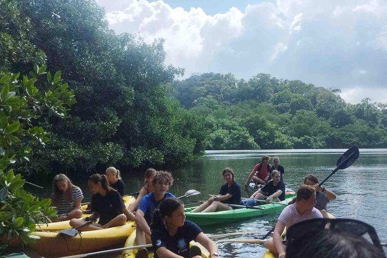 Panama City: Portobelo Jungle, Reef & Venas Azules Tour