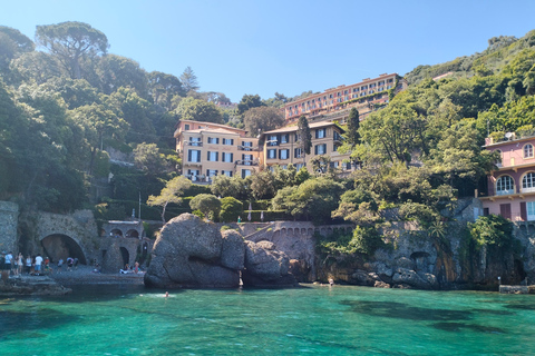Baignade avec les cétacés Visite privée en bateau Genova Portofino