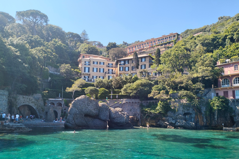 Baignade avec les cétacés Visite privée en bateau Genova Portofino