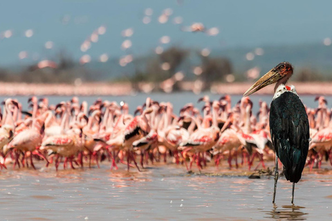 A Day to Nakuru national Park and Boat Ride at Lake Naivasha A Day to Nakuru national Park and Boat Ride at Lake Naivasha