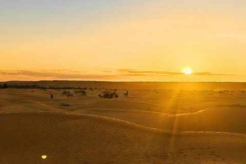 Djerba: Eine Nacht in Berberzelten.