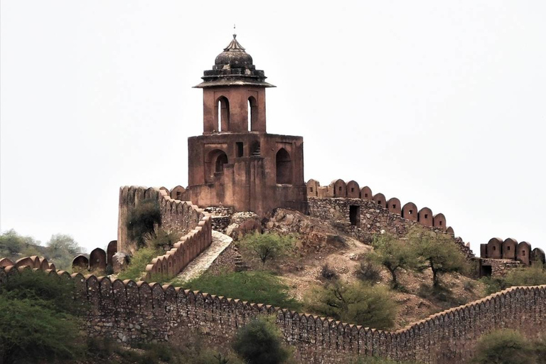 Desde Delhi: Visita guiada privada de la ciudad de Jaipur con trasladosSólo servicios de coche con conductor y guía turístico