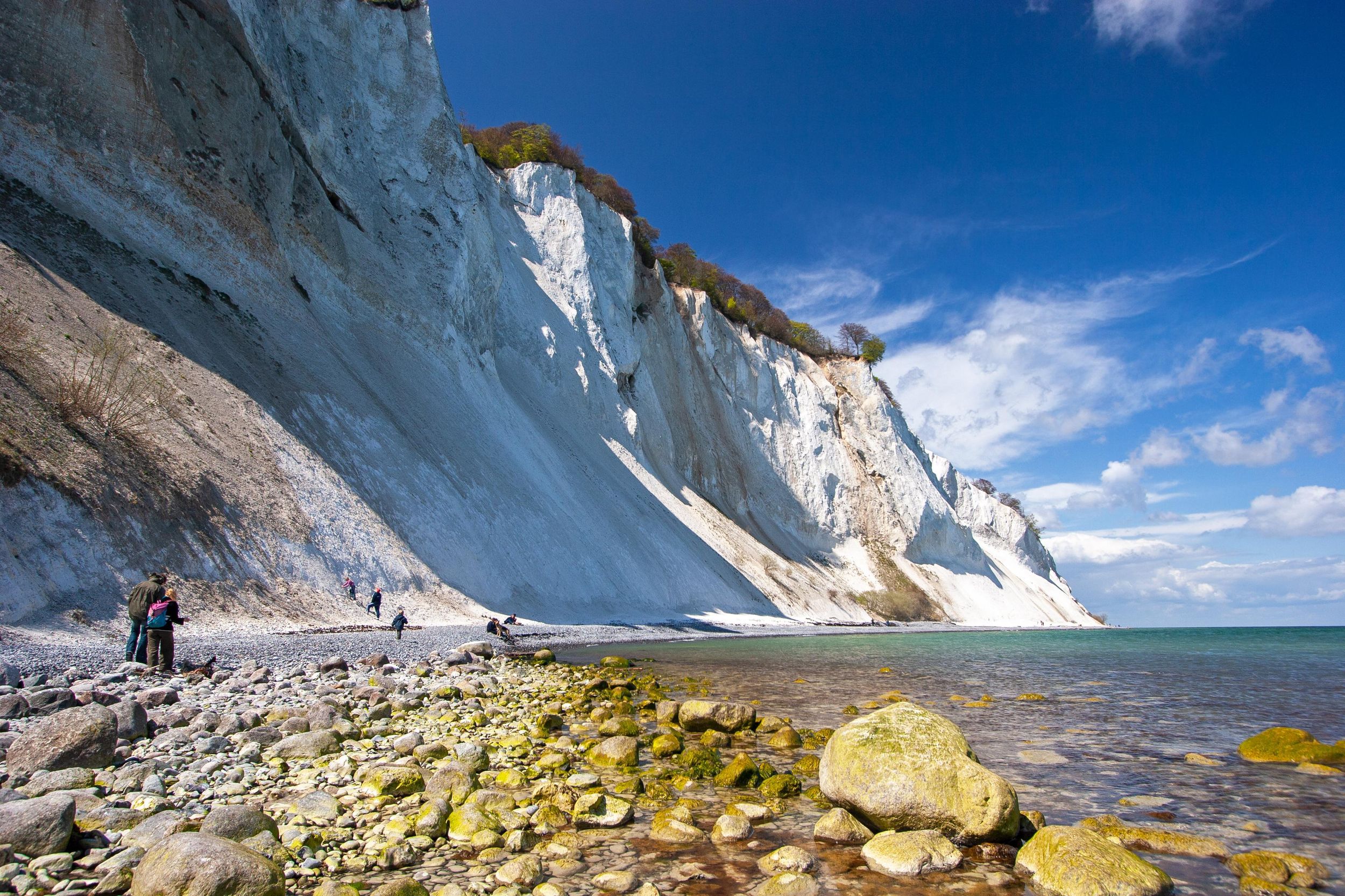 Tour: Møns Klint, Fanefjord-Kirche und Stege